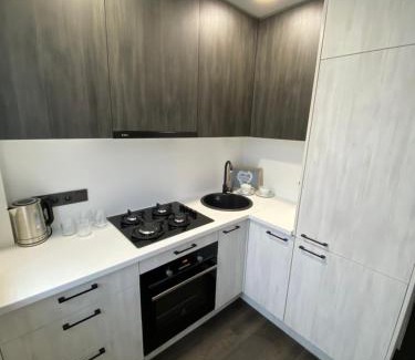 Panevezys Apartment | Parko 443