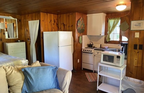 Ludington Apartment | Parkview Cottage #1 - 1/2 block to beach.