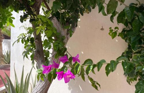 Parque Holandes House | Parque Holandés Fuerteventura casa Mayte