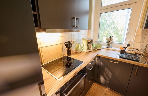 Schwerin Apartment | Parrot in the old town of Schwerin - ABC569