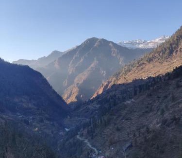 Kullu Cabin | Parvati Central