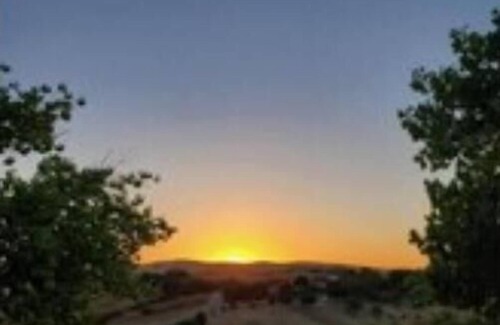 San Miguel House | Paso Robles Wine Country - 2 Pickleball Courts, Main House only, Vineyard Views