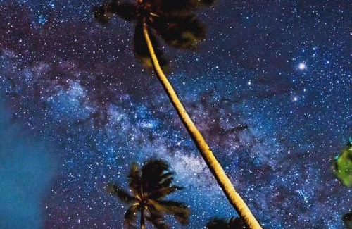 Catangnan Resort | Patrick's on the Beach Resort