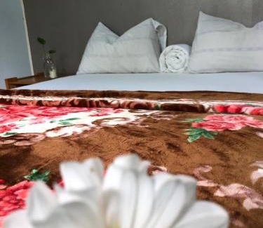 Moshi House | Pax-Rex homestay