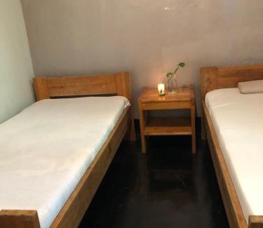 Moshi House | Pax-Rex homestay