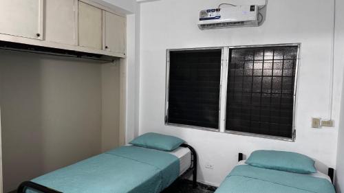 David Apartment | Peace 'N Green - Doleguita