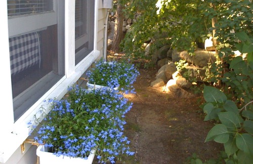 Rockport Cottage | Peaceful and magical, full ocean view cottage at Rocky Shores by the sea.