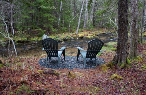 Mount Desert Apartment | Peaceful Basement Apartment among serene woods, paths, and a stream near Acadia