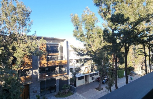 Casablanca Apartment | Peaceful, central apartment in a quiet, tree-lined street, rare in Casablanca.