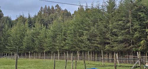 Nyandarua Ski Chalet | Peaceful Farm House facing the Aberdares