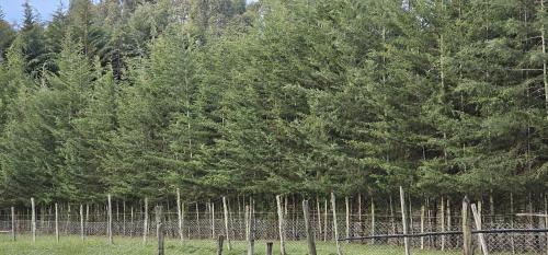 Nyandarua Ski Chalet | Peaceful Farm House facing the Aberdares