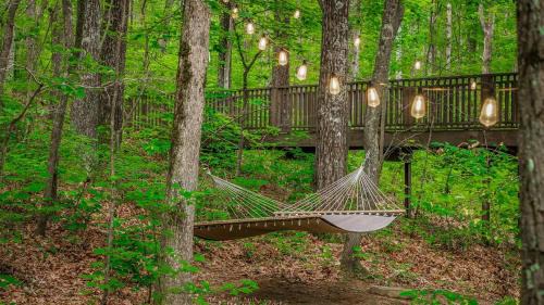 Fort Payne House | Peaceful Hideaway Treehouse near Little River Canyon