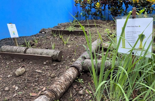 Soufriere Cottage | Peaceful Retreat in Nature. Charming Cottage in Soufrière.