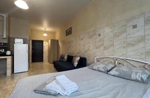 Pechers'kyi District Hotel | Pechersk House