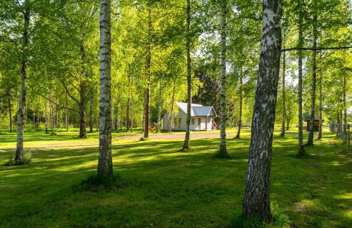 Nina Other | Peipsi Caravani puhkemaja