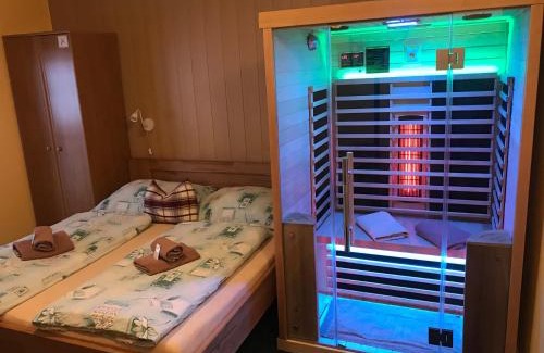 Zelezna Ruda House | Pension Aura Špičák, některé pokoje se saunou