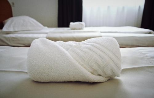 Timisoara House | Pension Delia Gardens