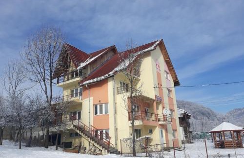 Costesti House | Pension Nicoleta