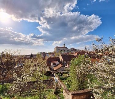 Mikulov House | Pension Sebastian a vinný bar Prostě SKLEP