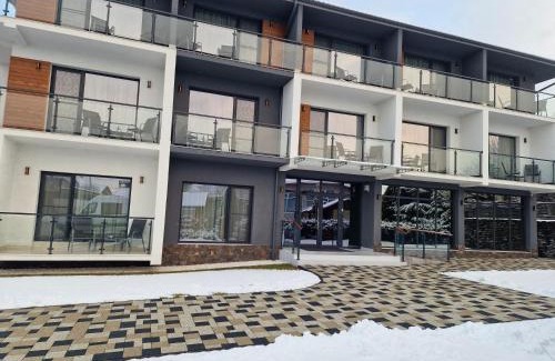Toplita Hotel | Pensiunea Anadis