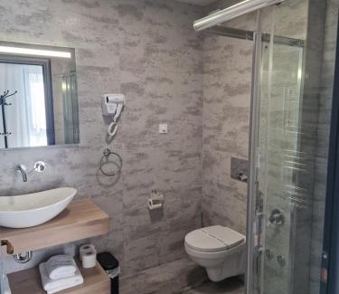 Toplita Hotel | Pensiunea Anadis