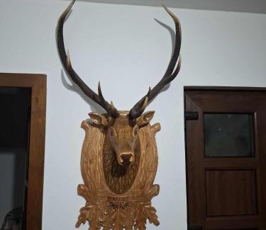 Albac House | Pensiunea Eugenia