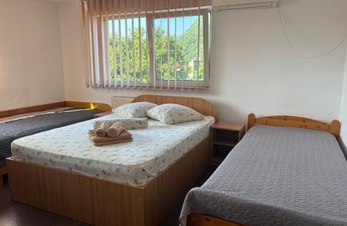 Deva House | Pensiunea Floare de Colt
