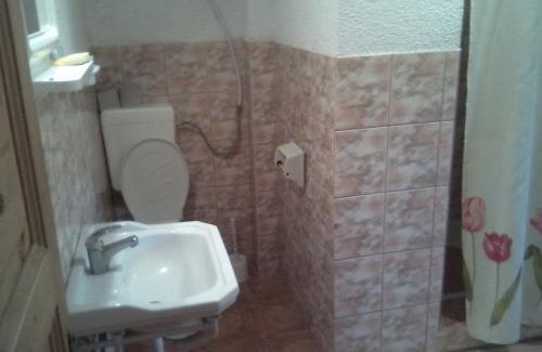 Zarnesti House | Pensiunea Irina 1 si 2