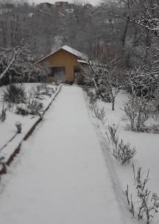 Cluj-Napoca House | Pensiunea Lucia Ana
