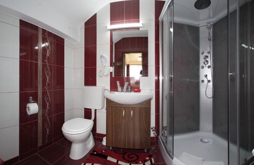 Tirgu Mures House | Pensiunea Muresul 3*