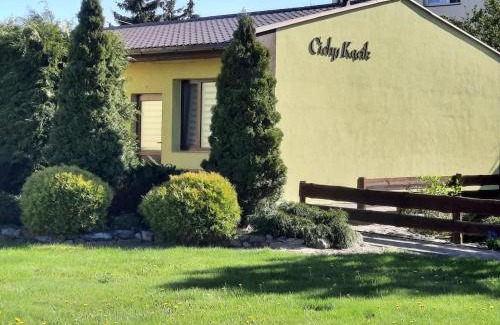 Sztutowo Apartment | Pensjonat Cichy Kącik