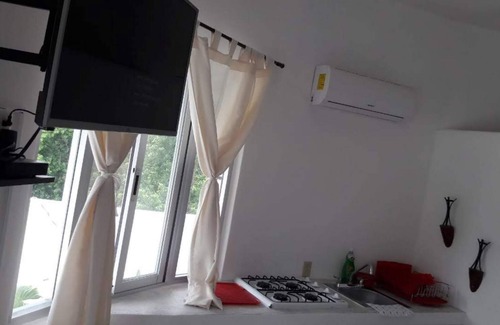 Chemuyil Apartment | Penthouse In The Jungle near some of the best Cenotes and The Beach