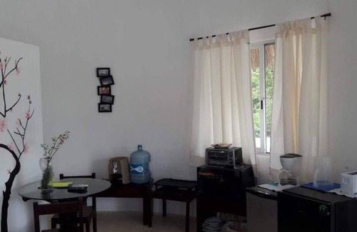 Chemuyil Apartment | Penthouse In The Jungle near some of the best Cenotes and The Beach