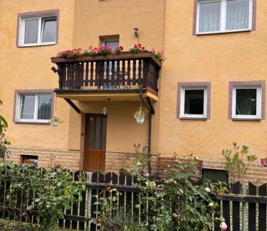 Karlovy Vary House | Penzion u Dušků