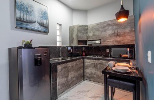 Zapotlanejo Apartment | Pequeño espacio, gran lujo en Zapotlanejo Suite 304