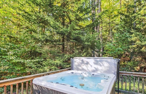 Davis Cabin | Perfect location for a Canaan Valley vacation! Welcome to Red Squirrel Pines!