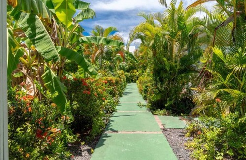 L'Houezel House | Perle des Caraibes ,n°12