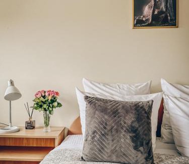 Panevezys Hotel | Pervaža