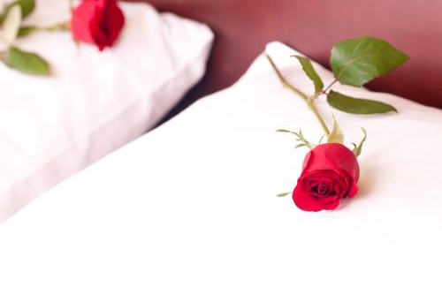 Campanha Hotel | Pestana Palacio do Freixo, Pousada & National Monument - The Leading Hotels of the World