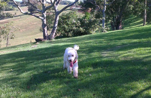 Duranbah Apartment | Pet Friendly - Adults Only, Tropical Coast Retreat, Kingscliff, Pacific Suite