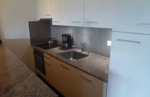 Nendaz Apartment | Pet-friendly apt. with mountain views