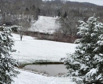Kingston Springs House | Pet Friendly! Farmhouse near the Harpeth River