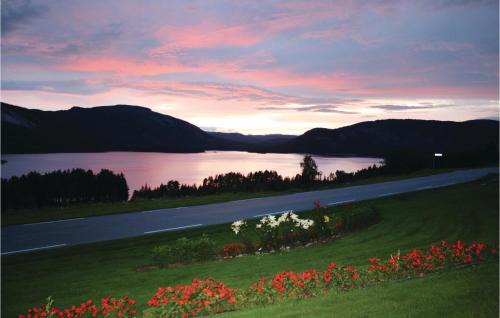 Hauggrend House | Pet Friendly Home In Fyresdal With House Sea View