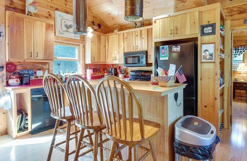 Meredith Cabin | Pet-Friendly Island Retreat - Boat Access Only!