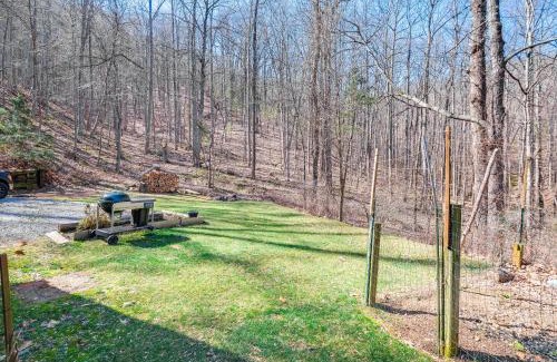 Roanoke House | Pet-Friendly Roanoke Home with Fire Pit and Grill!