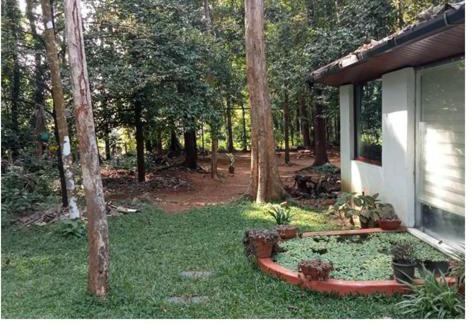 Alwaye House | PETERCOTTAGE HOMESTAY