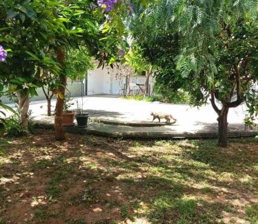 Petrochori House | Petrochori Memories Maisonette