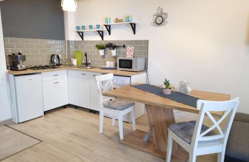 Petrosani Apartment | Petrosani Central ApartHotel