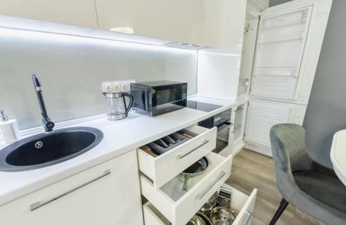 Pechers'kyi District Apartment | Petrovdom 408-467-471-277-377 in Central Park cozy apartments