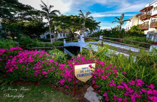 Dominicus Apartment | Pez 106
